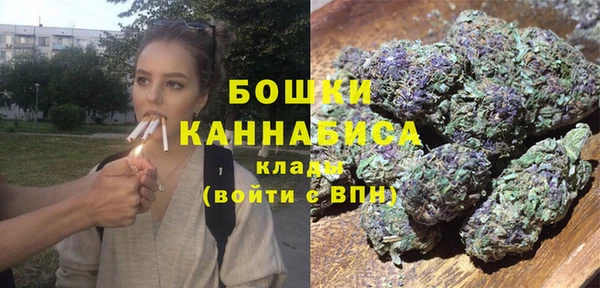шишки Алексин