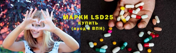 шишки Алексин
