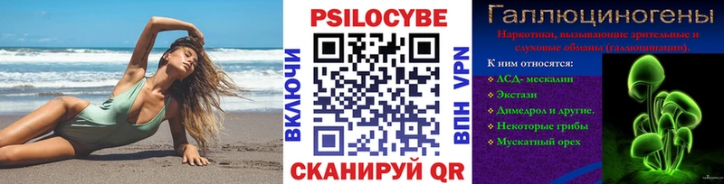 Псилоцибиновые грибы Psilocybe закладки Тобольск