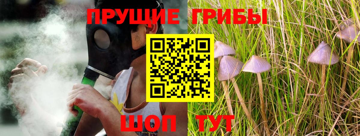 Тобольск  наркота  Вход с VPN  Галлюциногенные грибы прущие грибы 